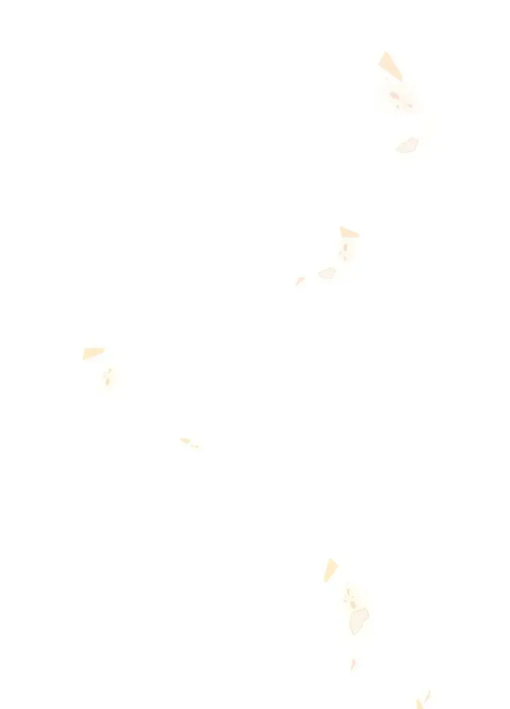 Feathers Against The Light Chapter 1 Online - página 70