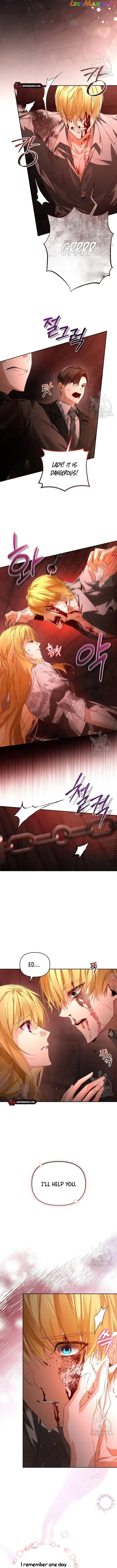 Fell Into the Arms of a Mad Villain Chapter 15 Online - página 13
