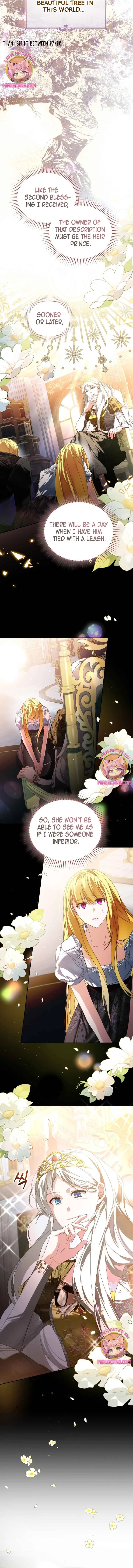 Fell Into the Arms of a Mad Villain Chapter 31 Online - página 8