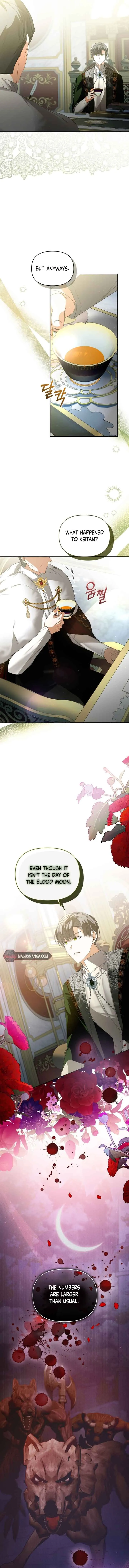 Fell Into the Arms of a Mad Villain Chapter 32 Online - página 13