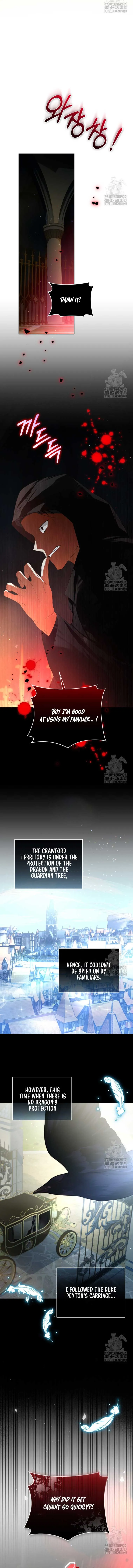 Fell Into the Arms of a Mad Villain Chapter 40 Online - página 11