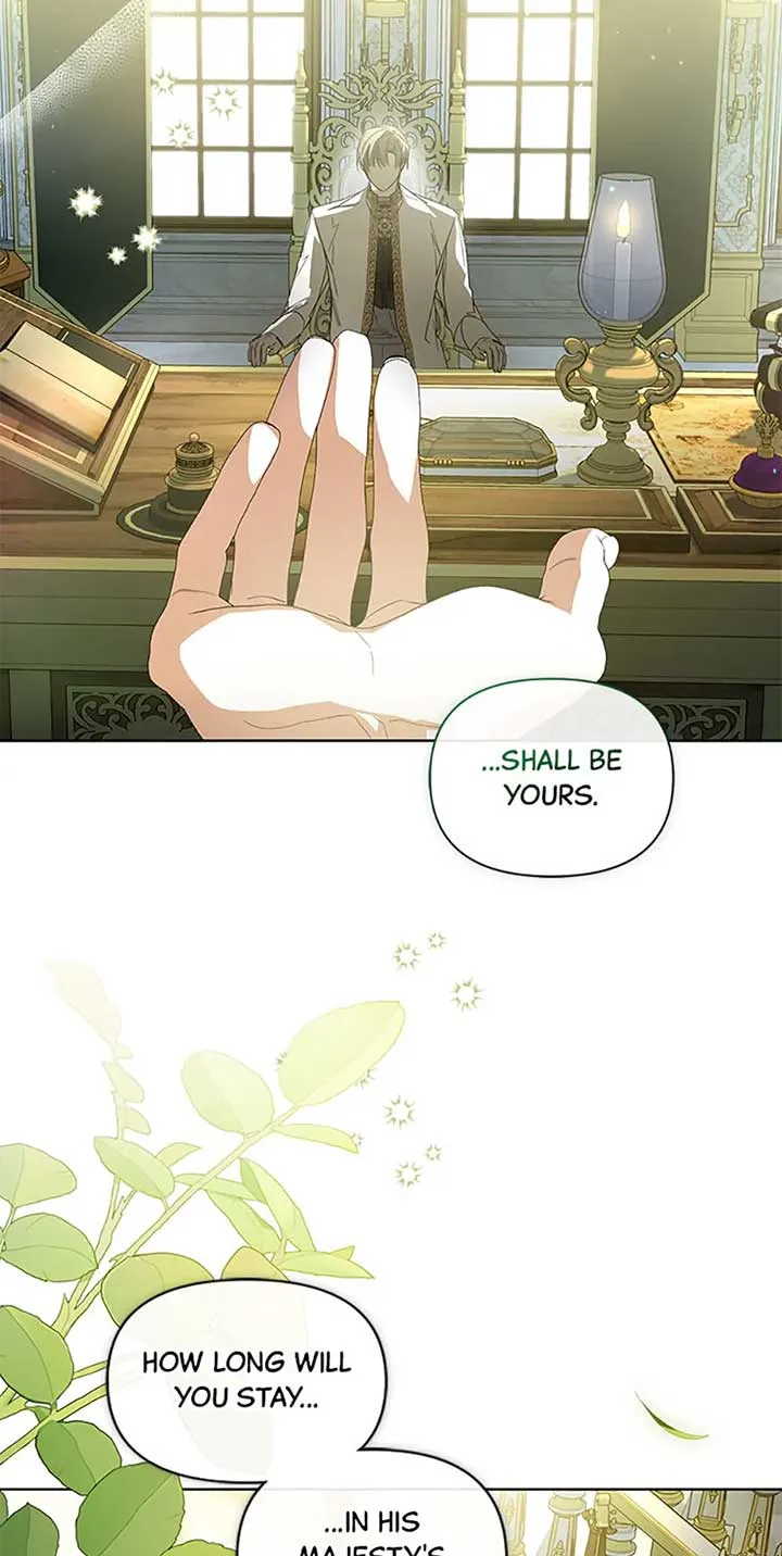 Fell Into the Arms of a Mad Villain Chapter 44 Online - página 11