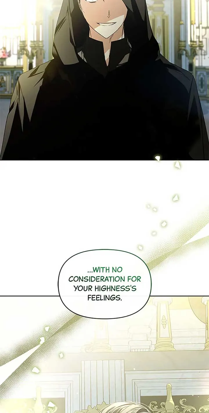 Fell Into the Arms of a Mad Villain Chapter 44 Online - página 17