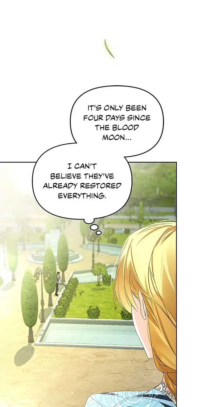 Fell Into the Arms of a Mad Villain Chapter 44 Online - página 47
