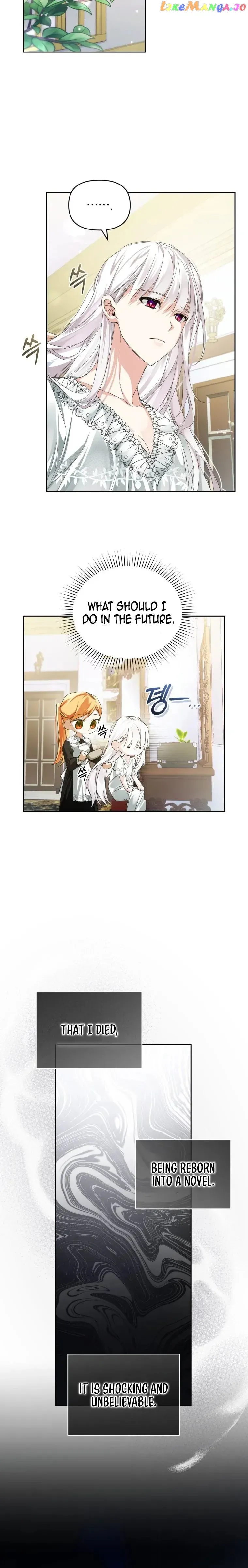 Fell Into the Arms of a Mad Villain Chapter 5 Online - página 16