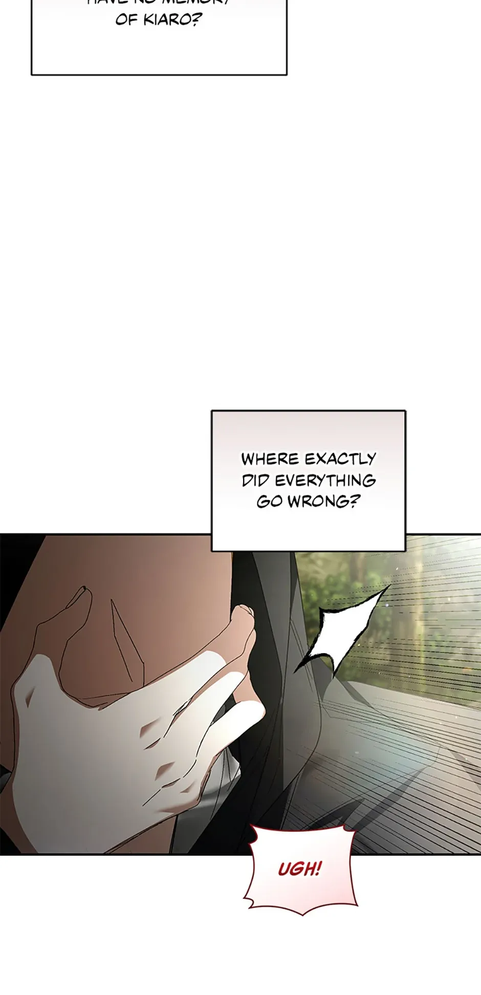 Fell Into the Arms of a Mad Villain Chapter 51 Online - página 15