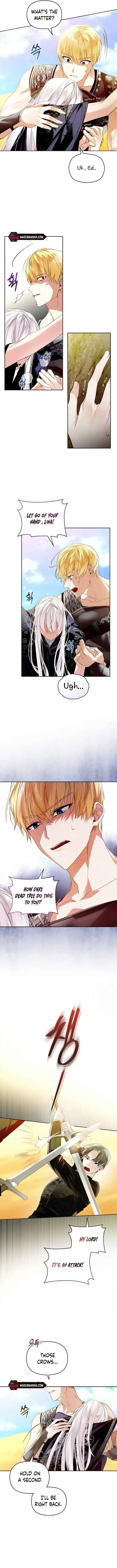 Fell Into the Arms of a Mad Villain Chapter 6 Online - página 13