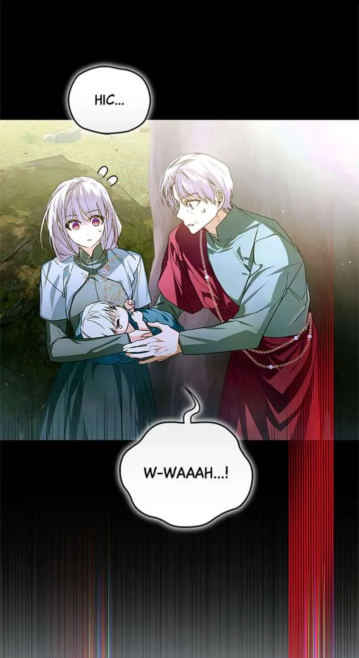Fell Into the Arms of a Mad Villain Chapter 67 Online - página 46