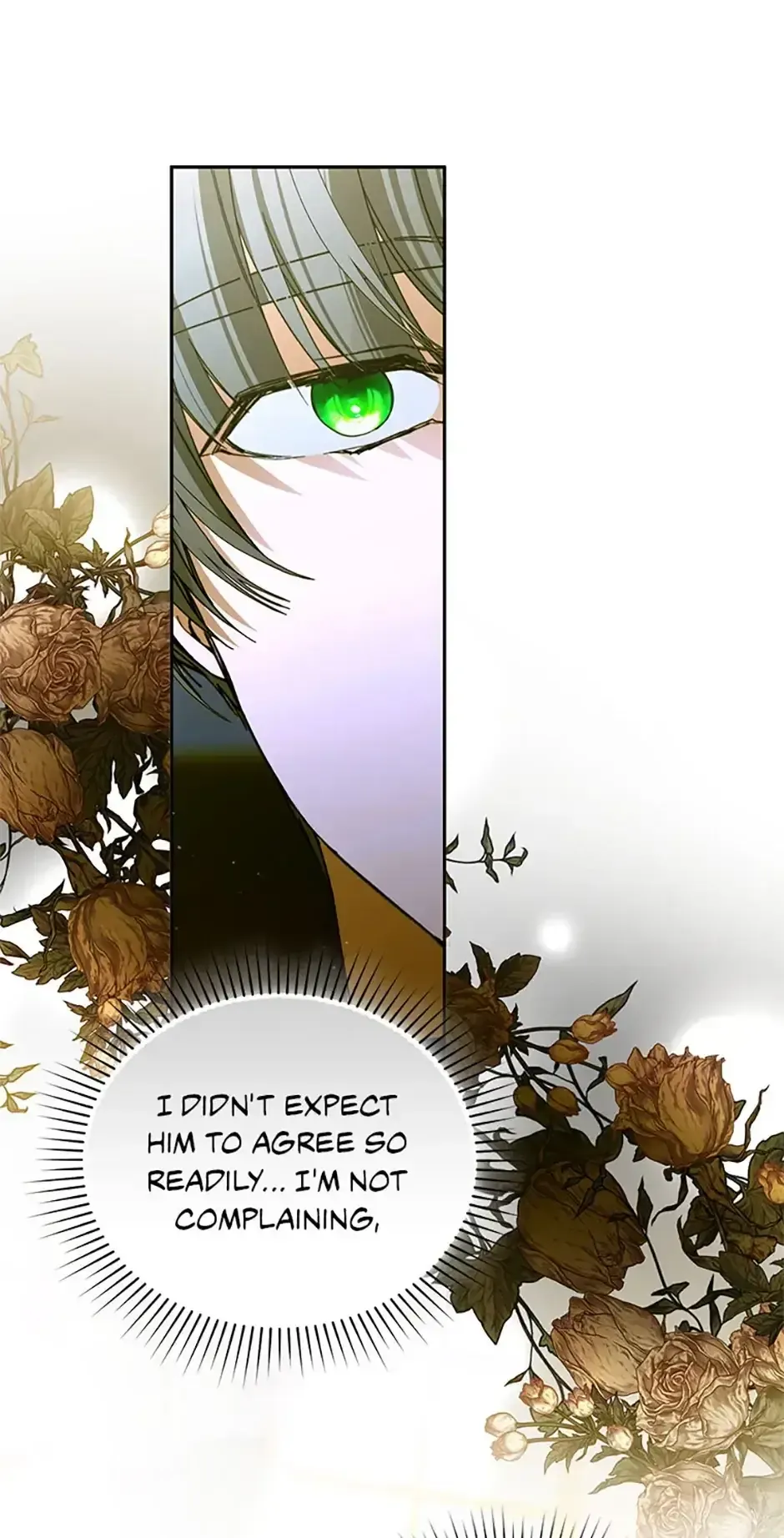 Fell Into the Arms of a Mad Villain Chapter 73 Online - página 70