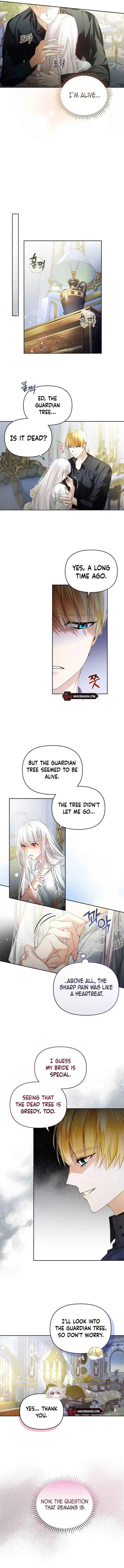 Fell Into the Arms of a Mad Villain Chapter 8 Online - página 9
