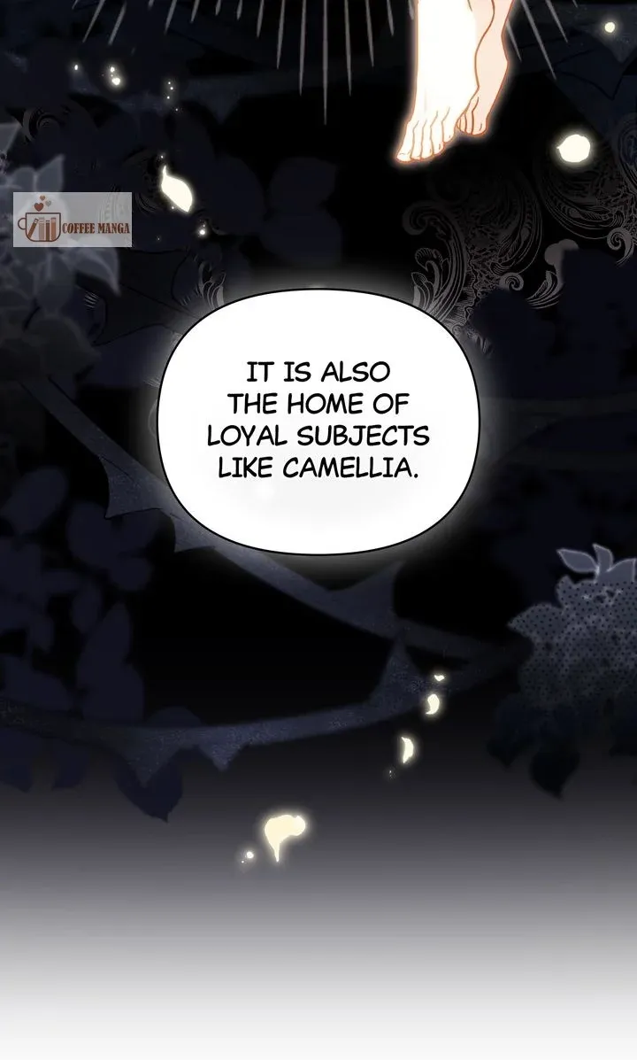 Finding Camellia Chapter 105 Online - página 24
