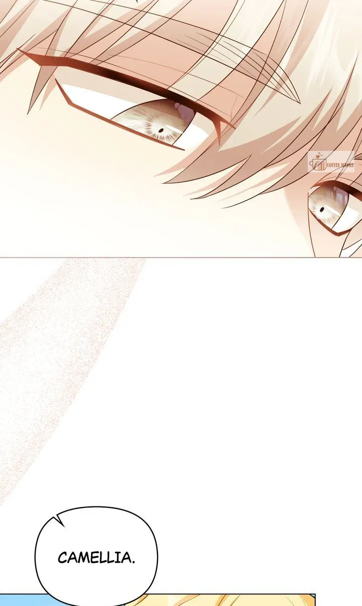 Finding Camellia Chapter 123 Online - página 25
