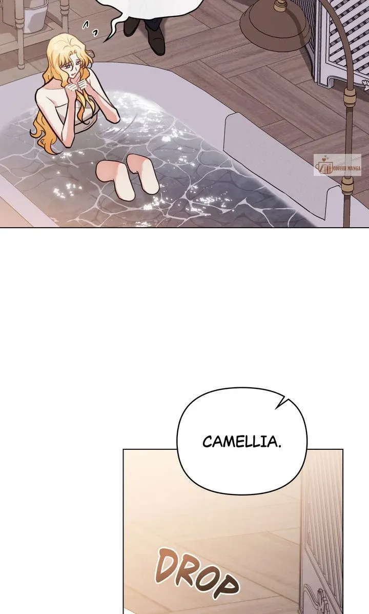 Finding Camellia Chapter 128 Online - página 27