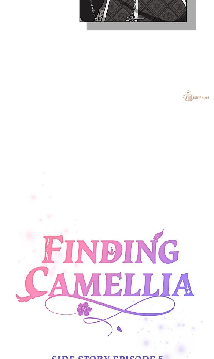 Finding Camellia Chapter 136 Online - página 7
