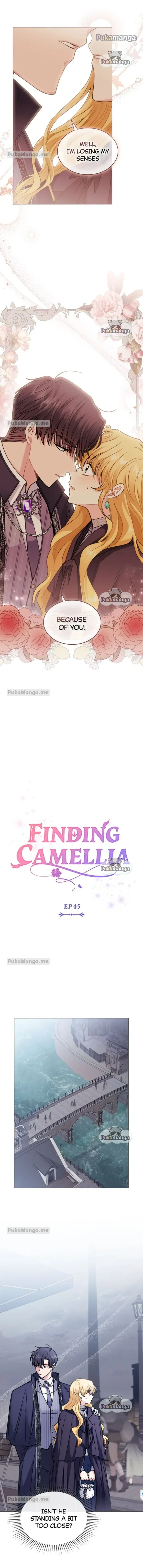 Finding Camellia Chapter 45 Online - página 4