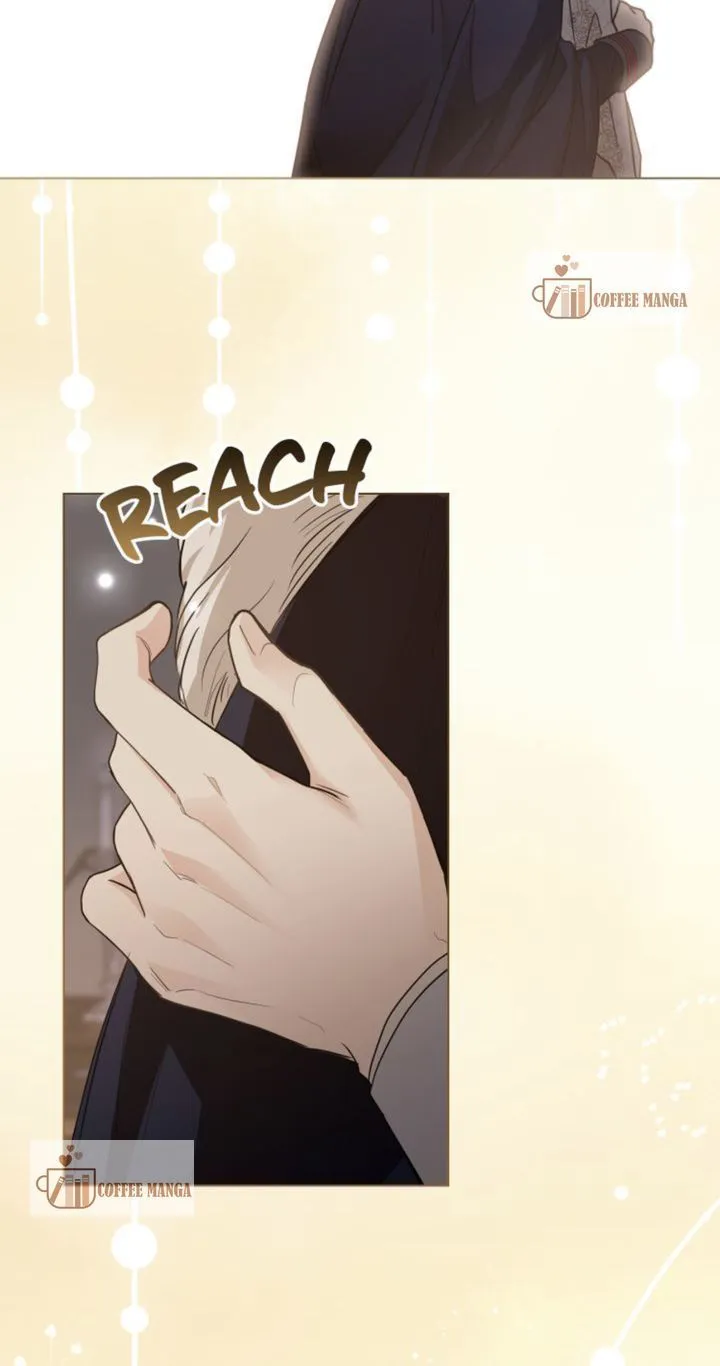 Finding Camellia Chapter 63 Online - página 53