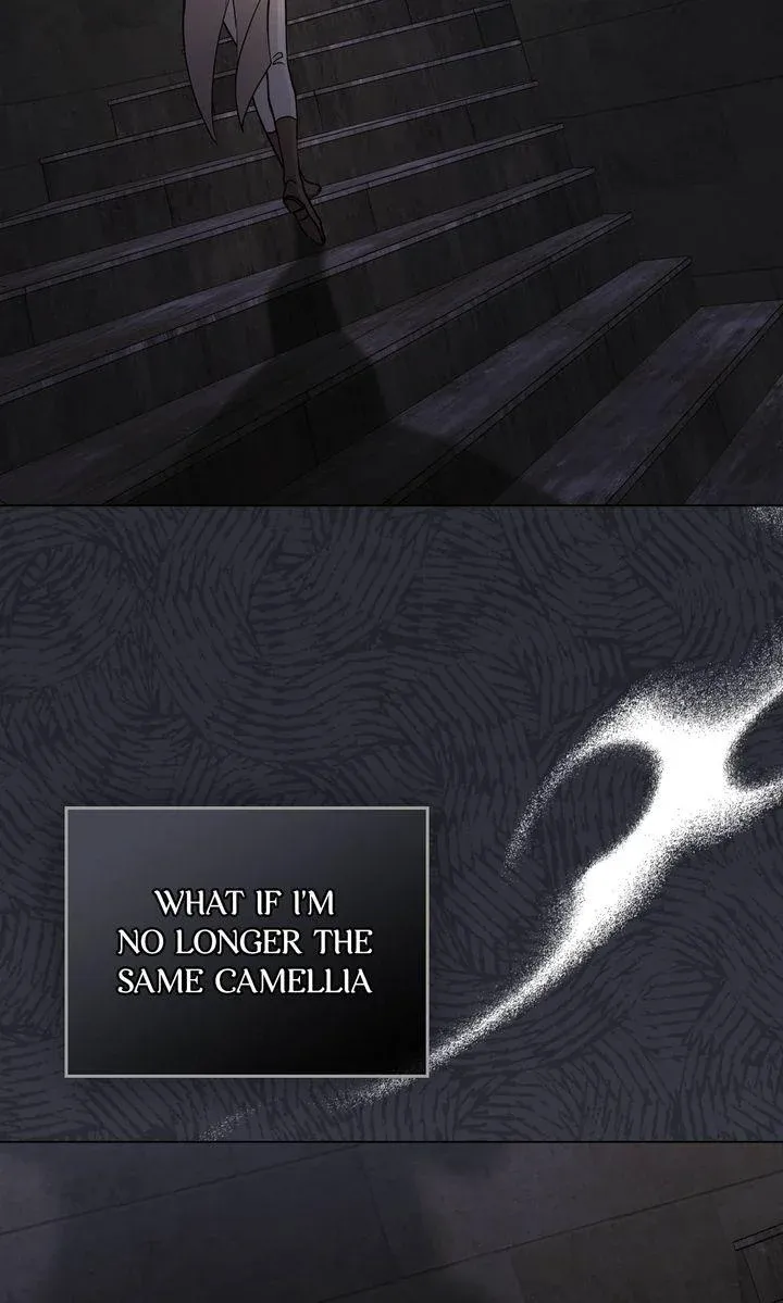 Finding Camellia Chapter 87 Online - página 66