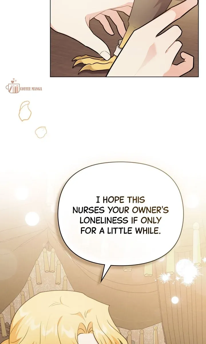 Finding Camellia Chapter 96.4 Online - página 43