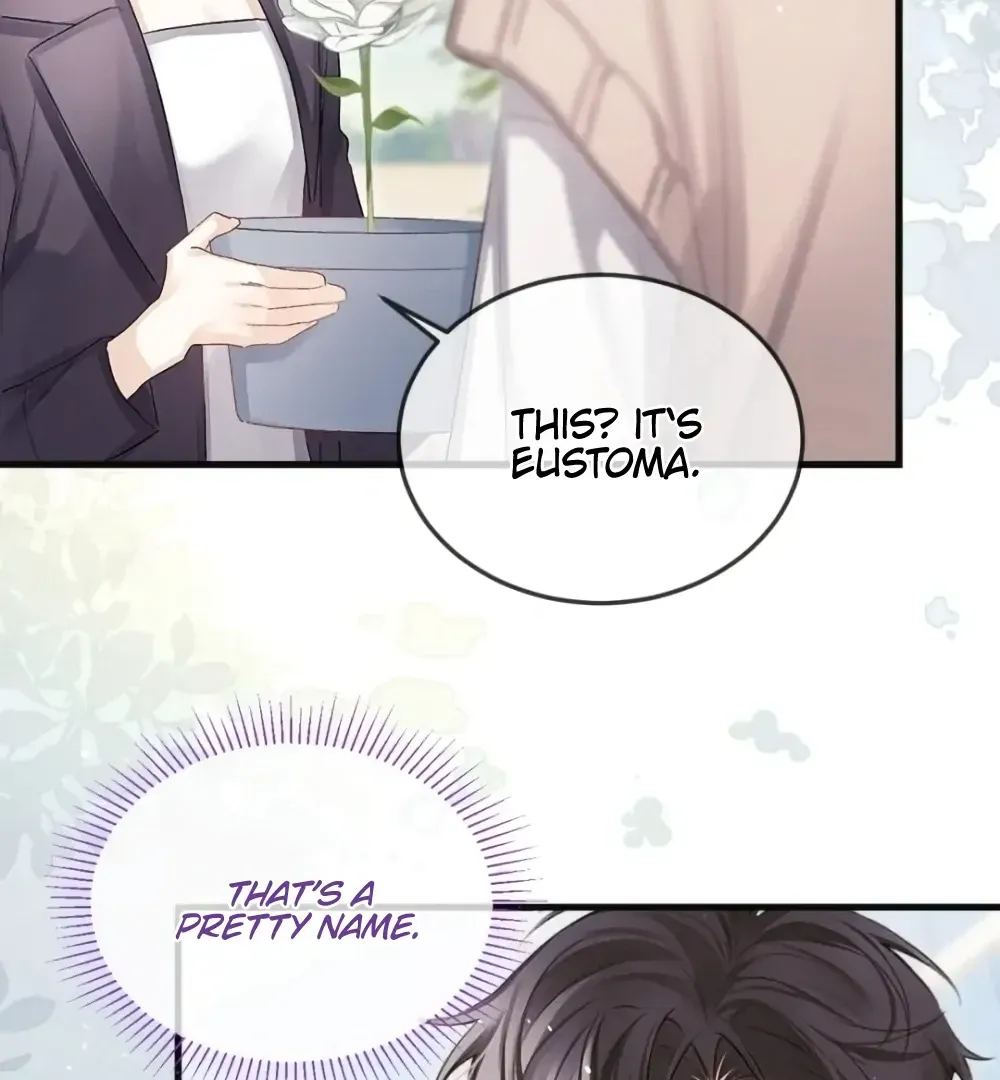 Forget Marriage, I’d Rather Go Bankrupt Chapter 38 Online - página 37