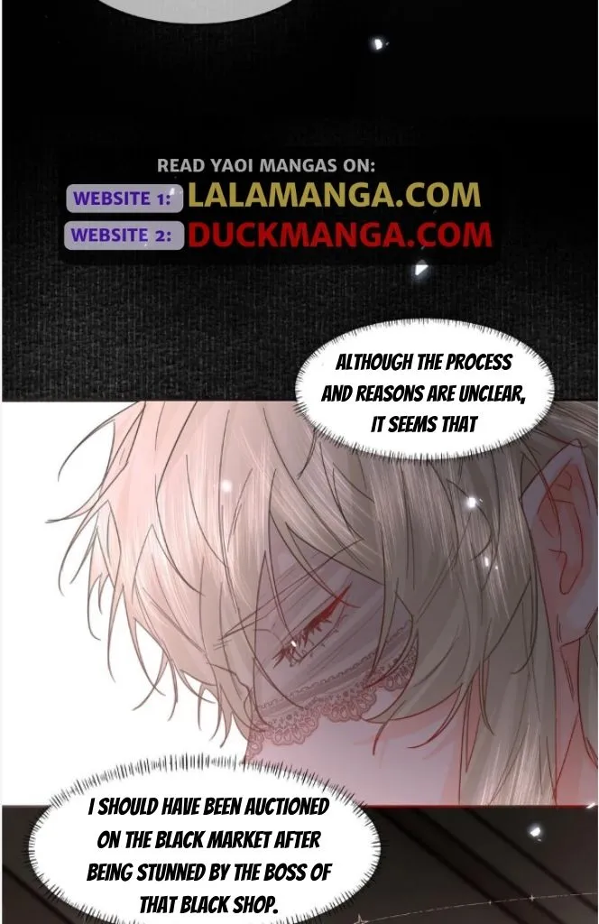 Former King Chapter 23 Online - página 17