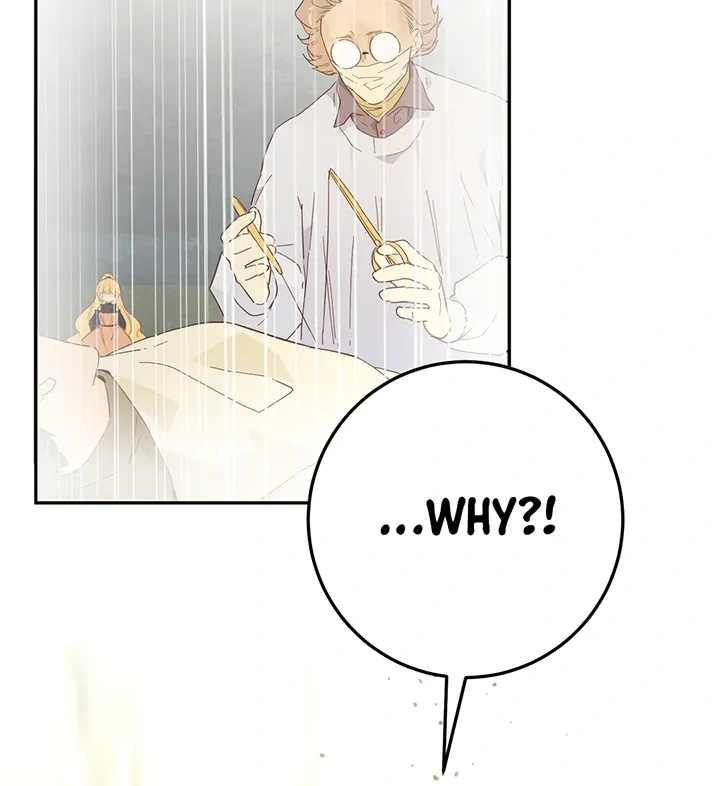From Six to Sovereignty: The Girl Who Ruled Chapter 42 Online - página 5