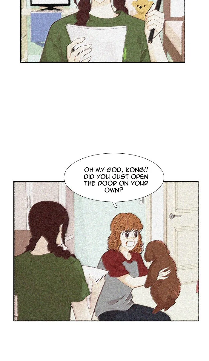 Girl’s World ( World of Girl ) Chapter 206 Online - página 45
