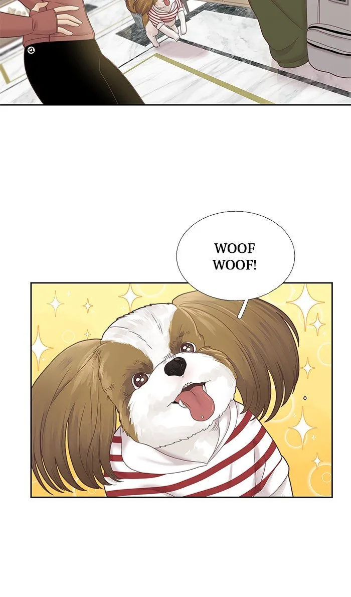 Girl’s World ( World of Girl ) Chapter 248 Online - página 19