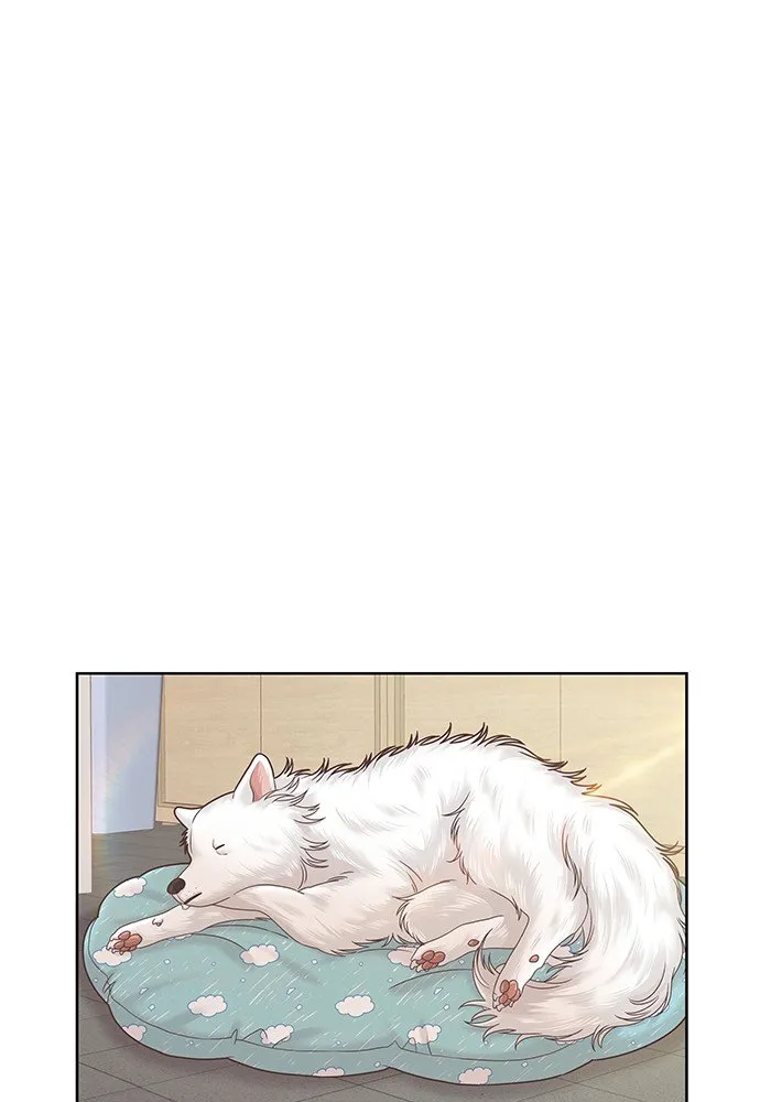 Girl’s World ( World of Girl ) Chapter 263 Online - página 8