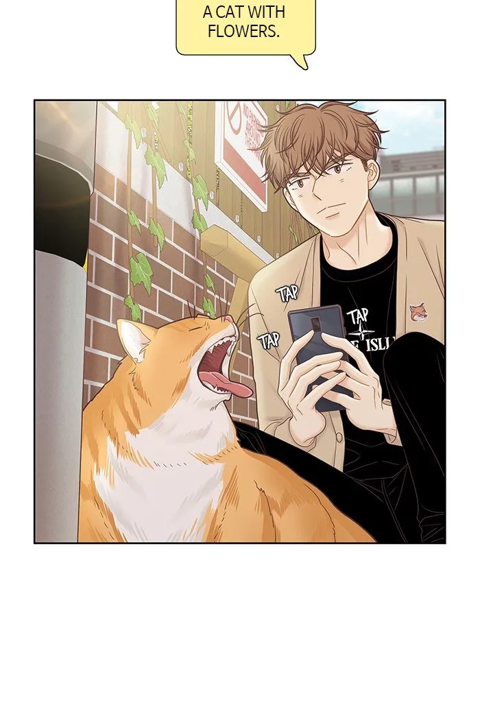 Girl’s World ( World of Girl ) Chapter 272 Online - página 15