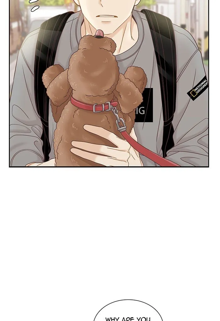 Girl’s World ( World of Girl ) Chapter 275 Online - página 40