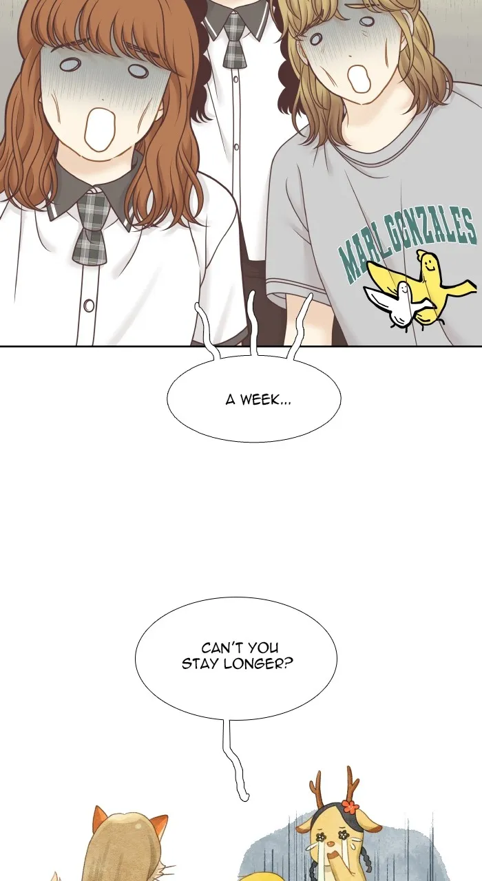 Girl’s World ( World of Girl ) Chapter 338 Online - página 16