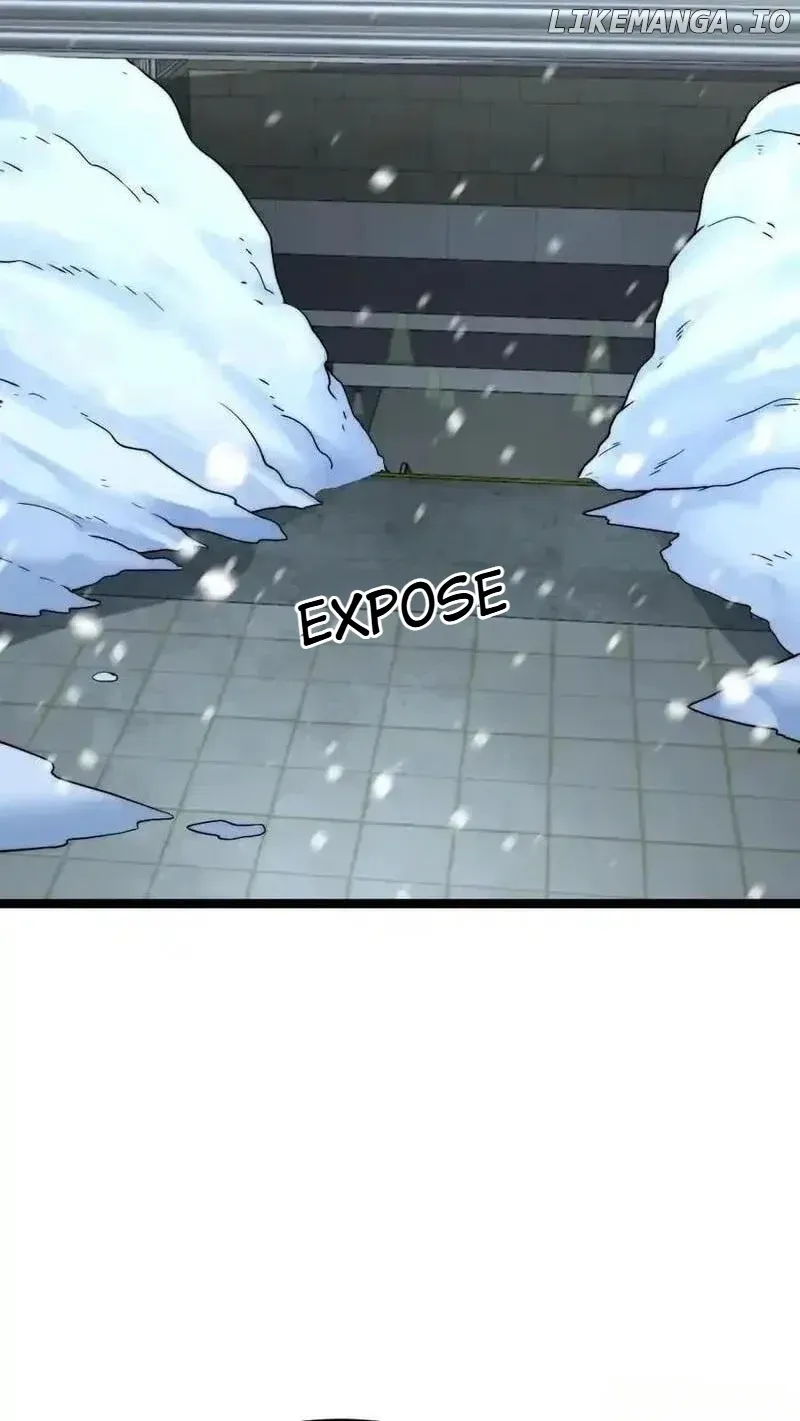Global Freeze: I Created An Apocalypse Shelter Chapter 481 Online - página 11