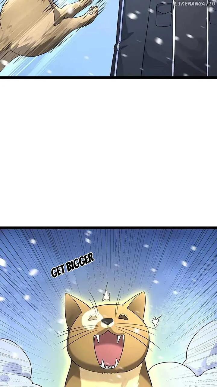 Global Freeze: I Created An Apocalypse Shelter Chapter 565 Online - página 14