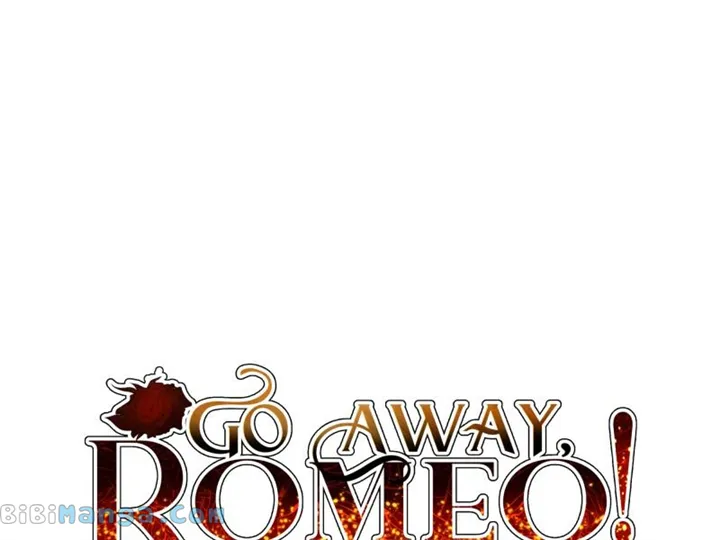 Go Away Romeo Chapter 47 Online - página 204
