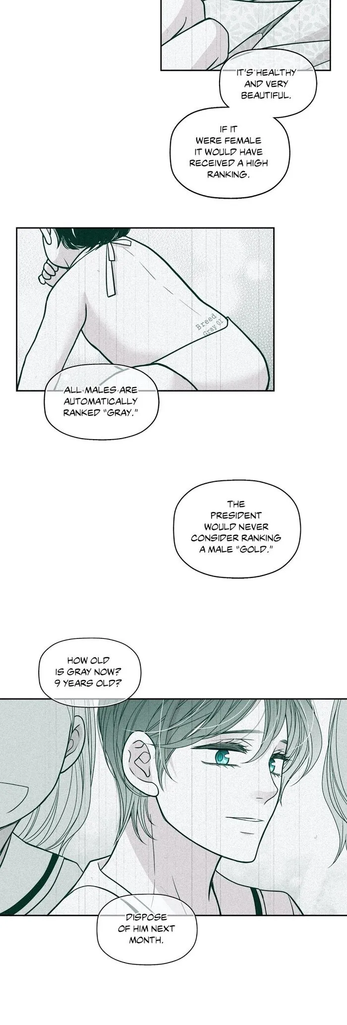 Gold Gray Chapter 59 Online - página 24