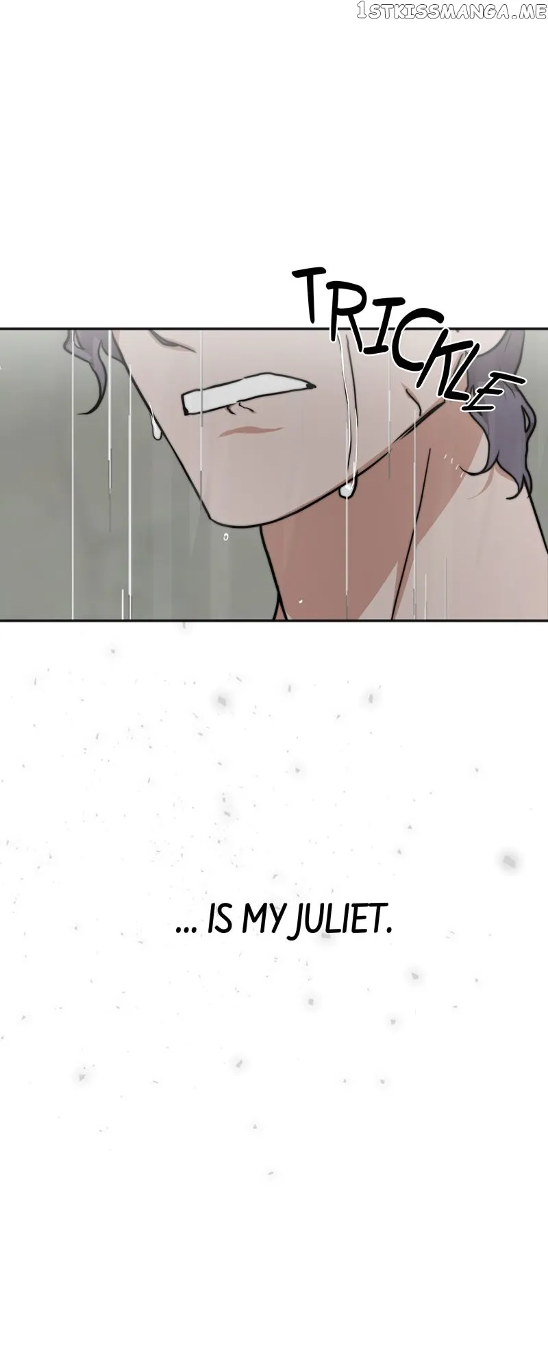 Goodbye My Juliet Chapter 19 Online - página 31