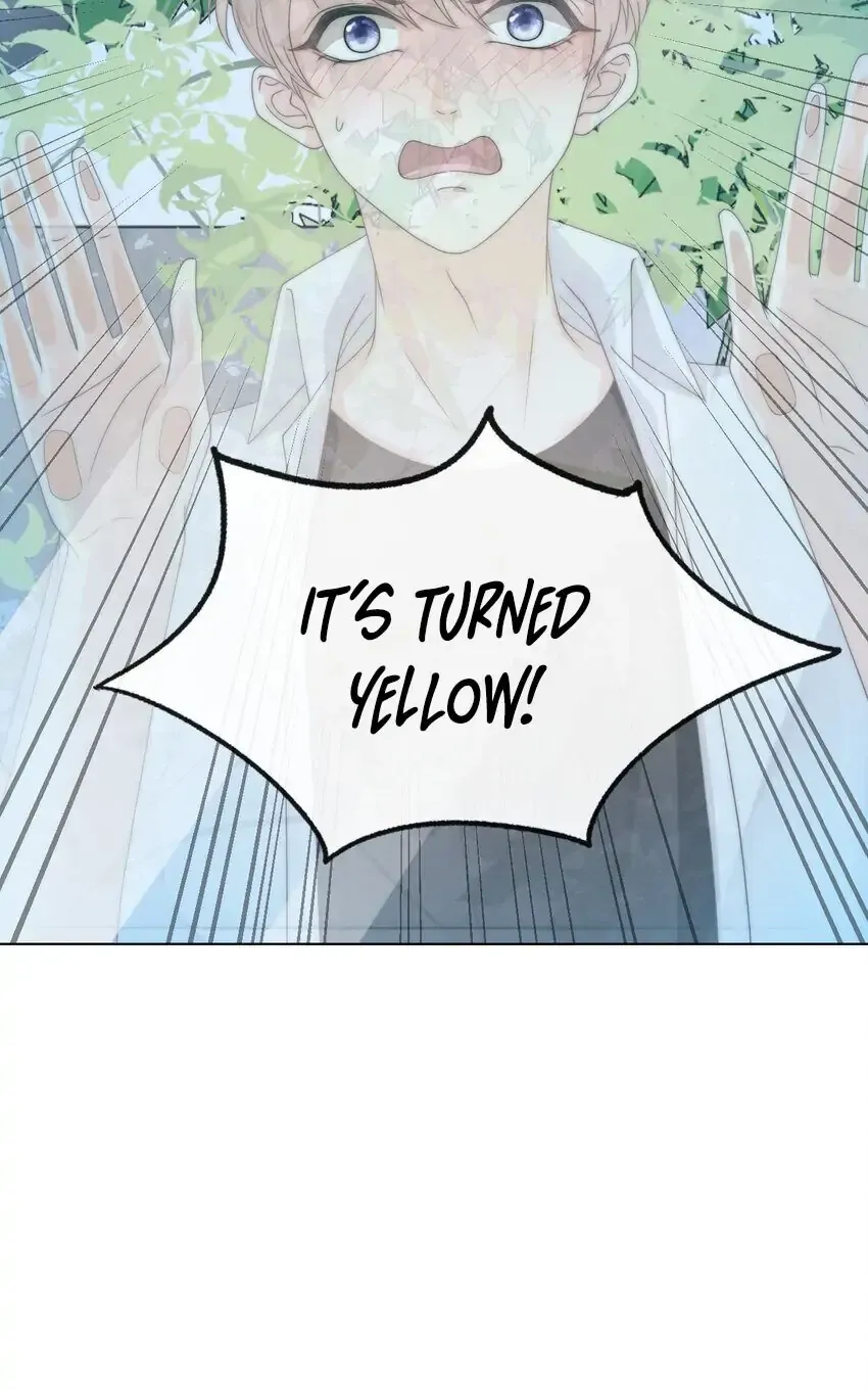 Green Plum Island Chapter 4 Online - página 45
