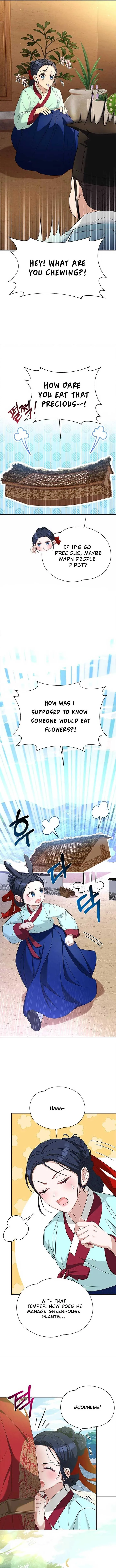 Haesi’s New Path Chapter 16 Online - página 11