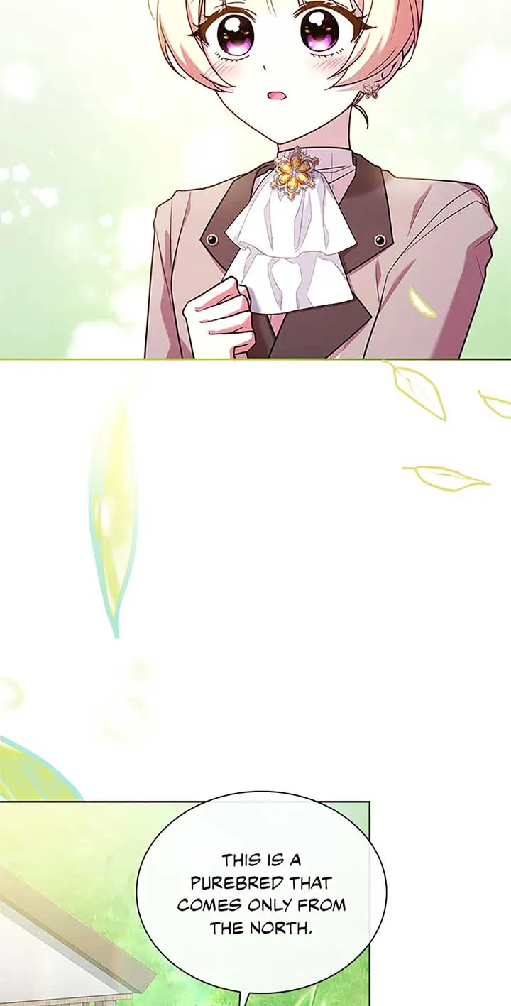 Happy Sea World Chapter 67 Online - página 48