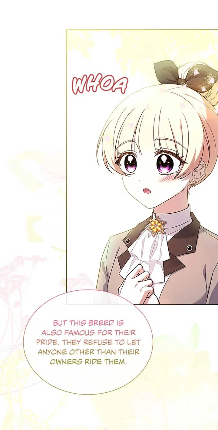 Happy Sea World Chapter 67 Online - página 50