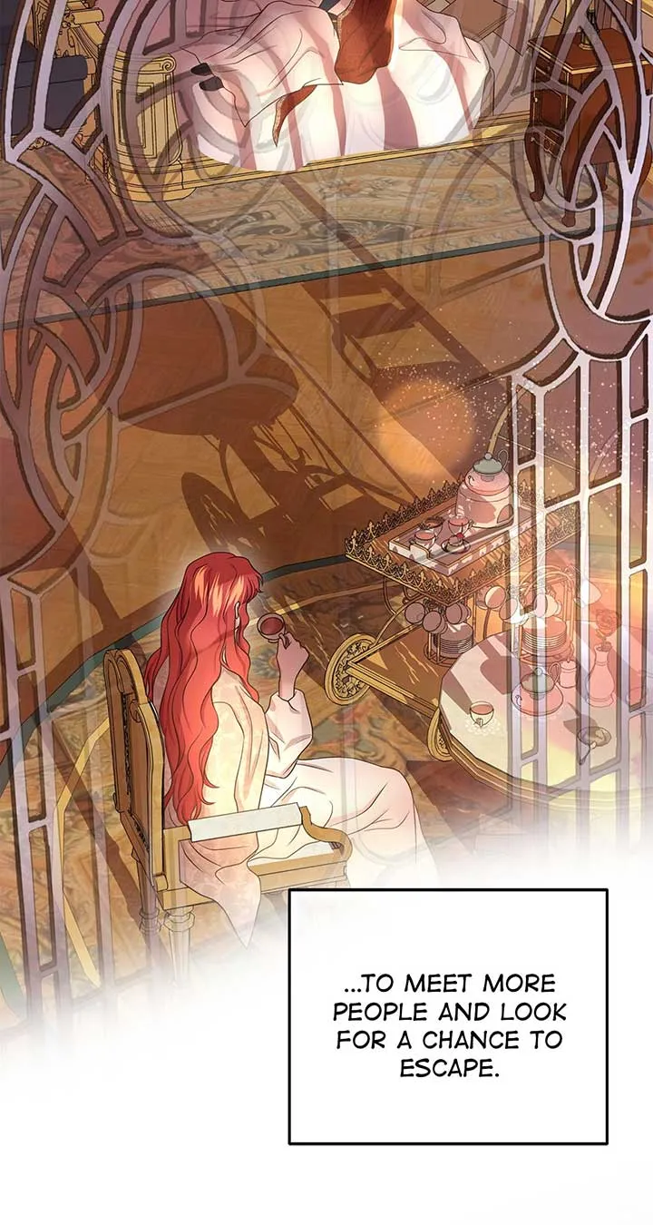 Holding You Captive Chapter 28 Online - página 13