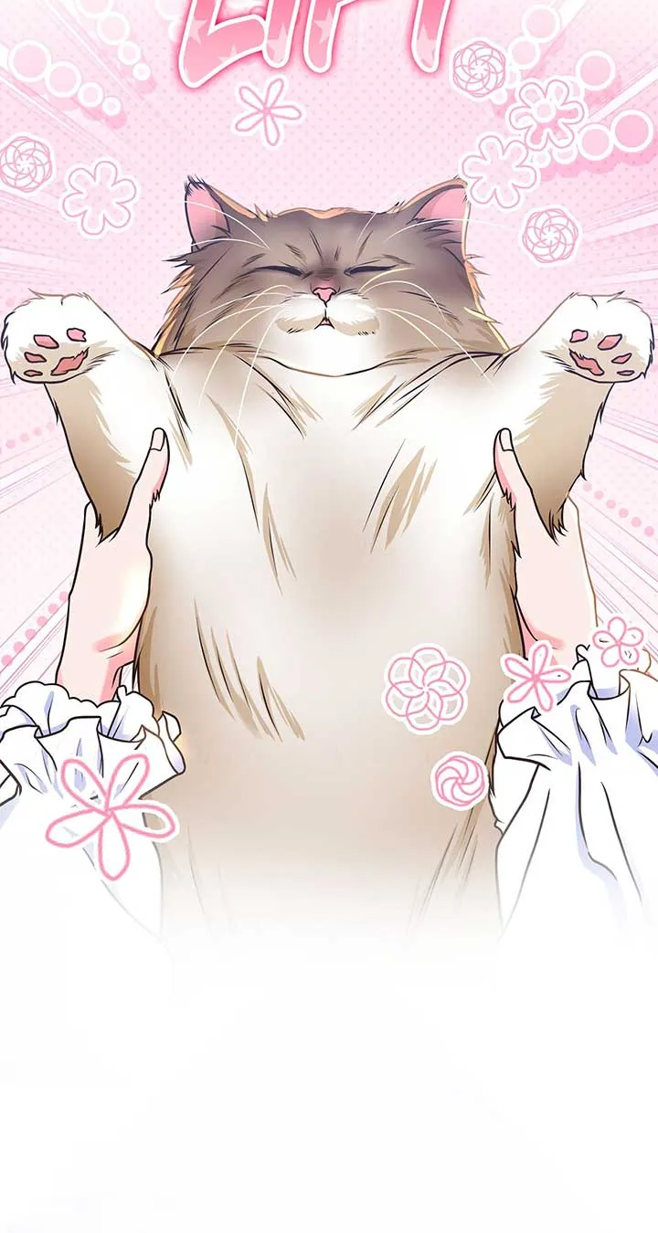 Holding You Captive Chapter 50 Online - página 11