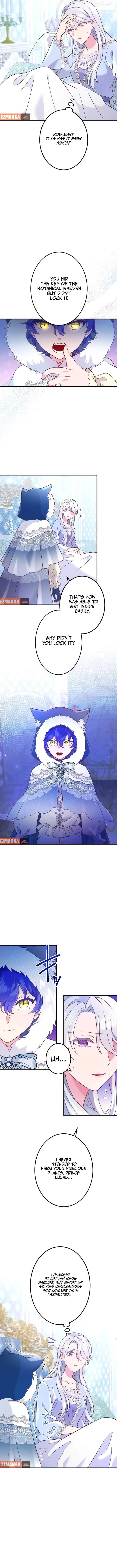 How I, the Royal Spy, Won Over Five Princes Chapter 29 Online - página 9