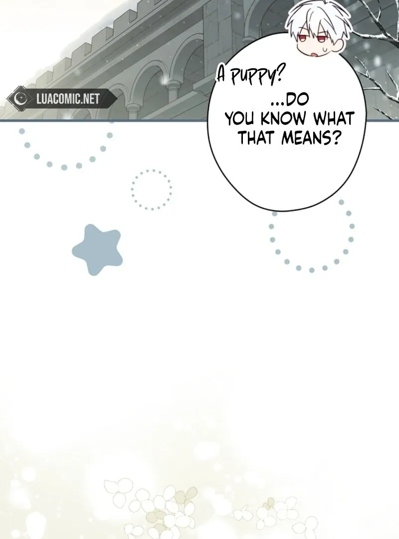 How to Get My Husband on My Side Chapter 116 Online - página 33