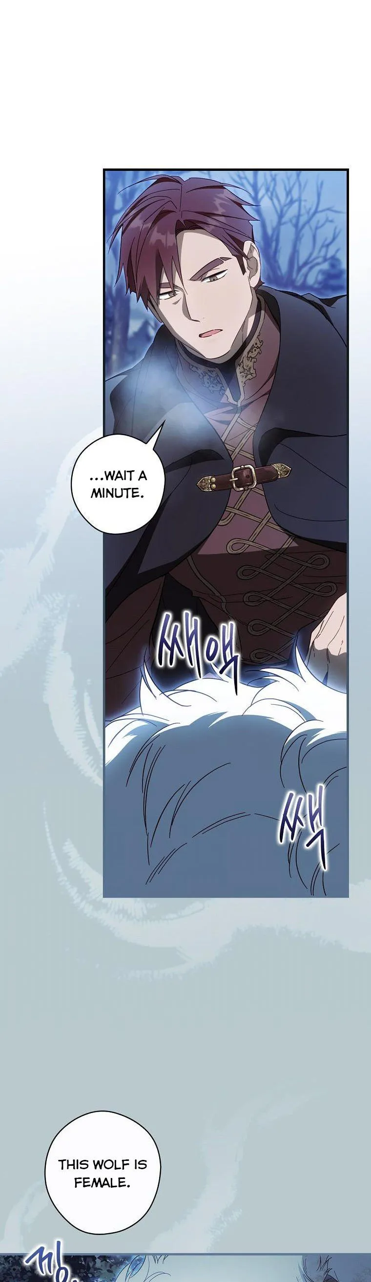 How to Get My Husband on My Side Chapter 64 Online - página 39