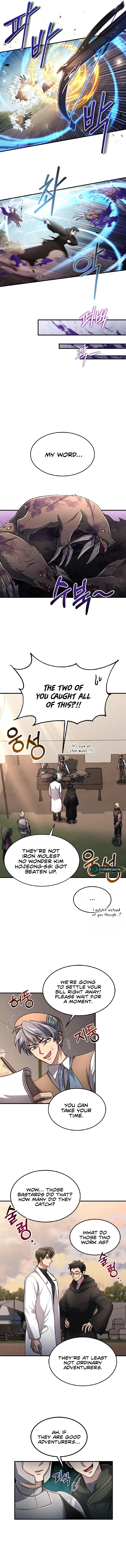 How to Live as an Illegal Healer Chapter 15 Online - página 10