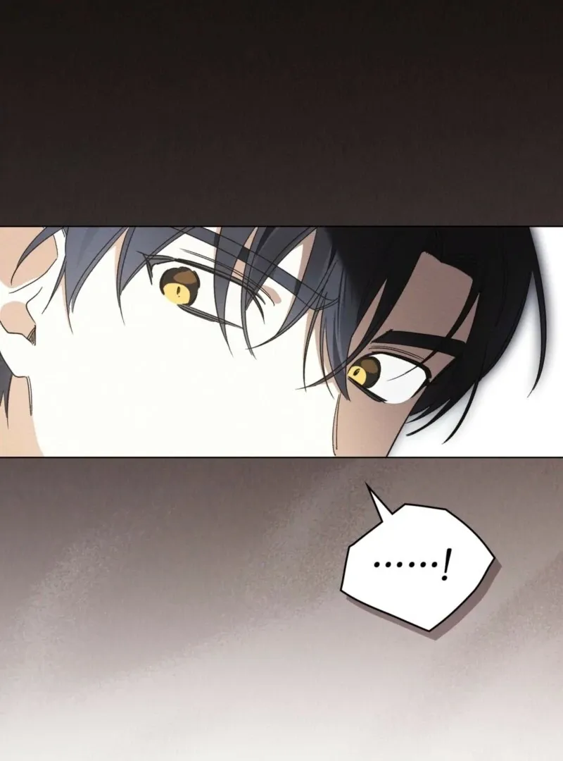 I Am Being Chased by My Husband Chapter 44 Online - página 58