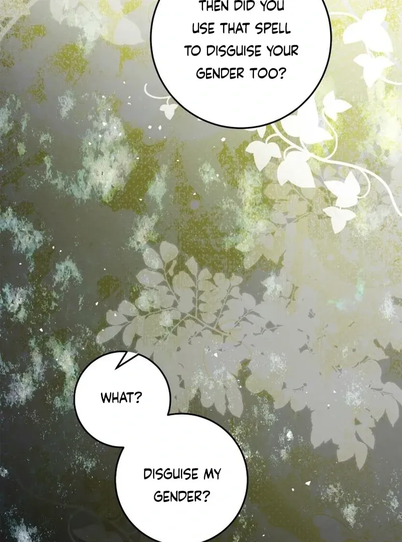 I Am the Evil Wife of a Young Husband Chapter 22 Online - página 62