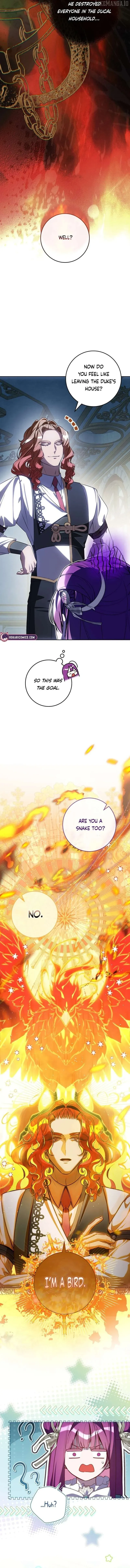 I Am the Evil Wife of a Young Husband Chapter 23 Online - página 10