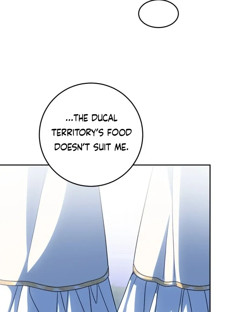 I Am the Evil Wife of a Young Husband Chapter 25 Online - página 17